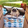 Avanti - Pizza Pug - Birthday Card